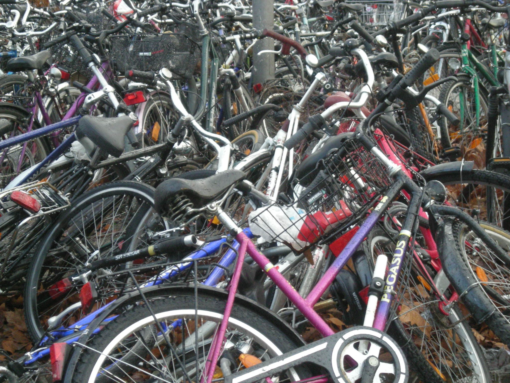 Göttingen